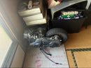 Engine Cooling V 125S