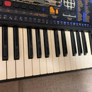 Yamaha Keyboards Digital Pianos Psr-195