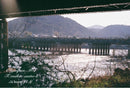 Olympus Slr Camera (Film) M-1