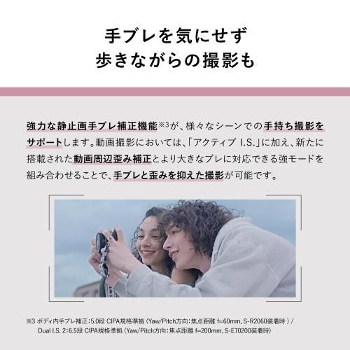 Mirrorless Interchangeable Lips Lumix Dc-S9H-K