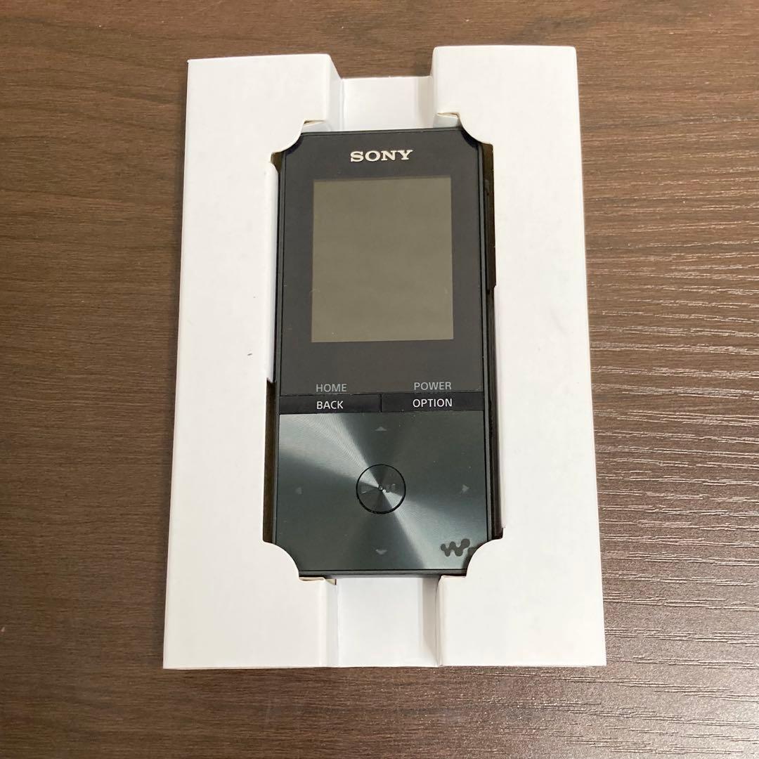 Sony Digital Audio Players Walkman Nw-S313