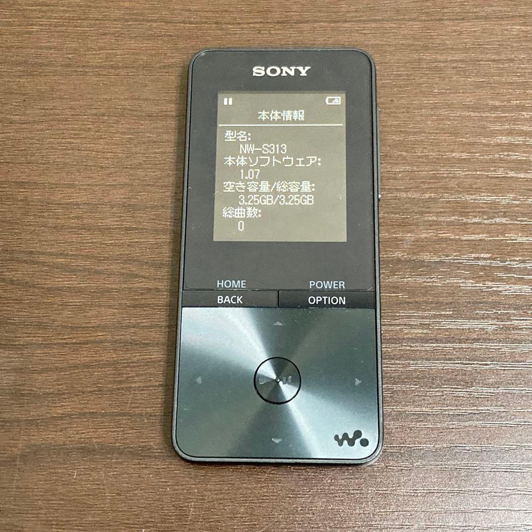 Sony Digital Audio Players Walkman Nw-S313