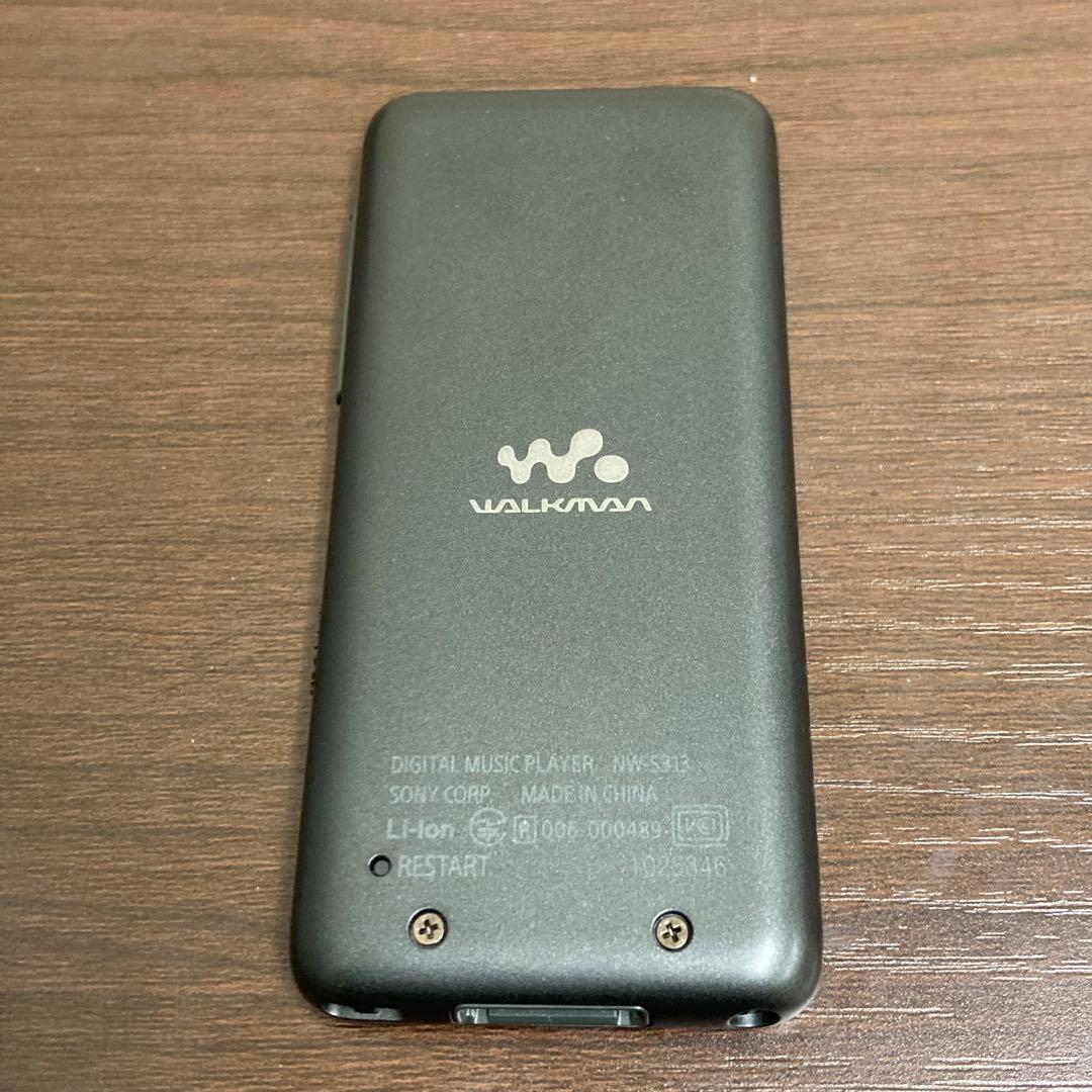 Sony Digital Audio Players Walkman Nw-S313