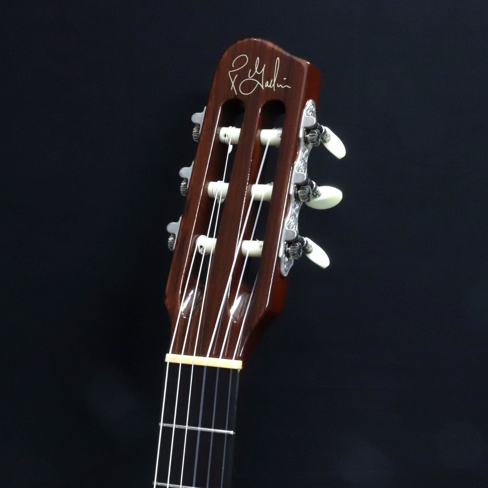 Classical Guitar Godin 25Th Anniversary Acs Rosewood