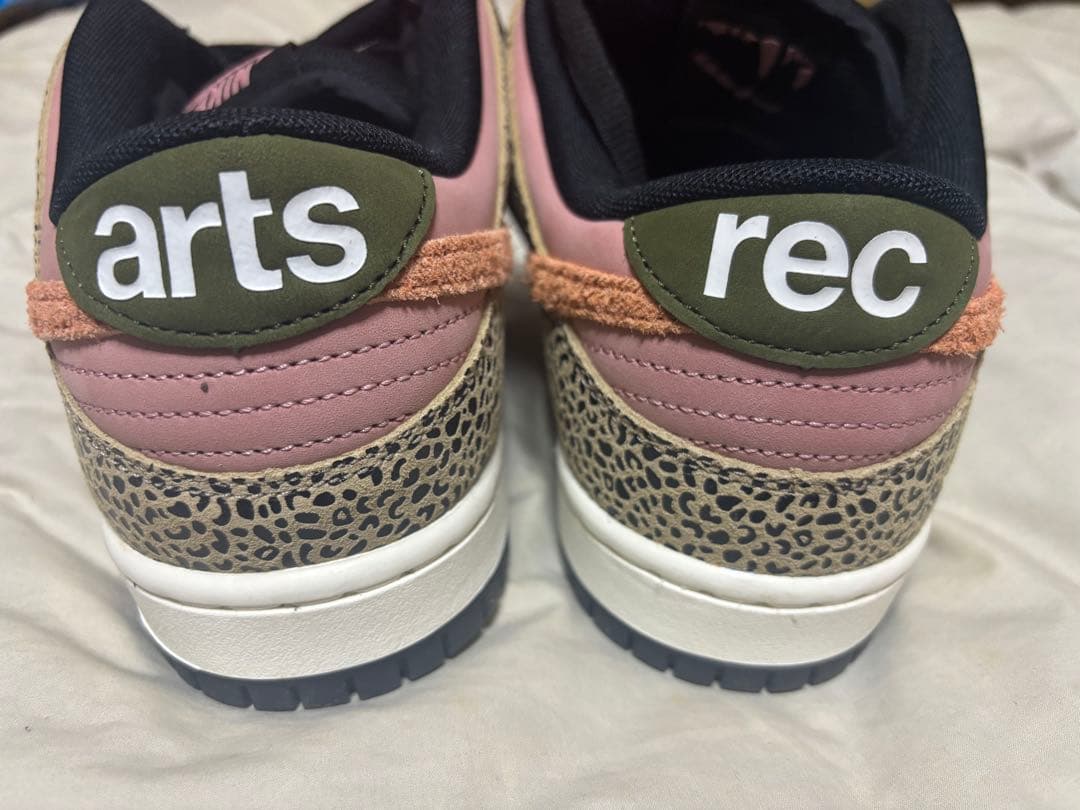 Nike Sb Sneakers Arts-Rec X Dunk Low Pro Qs