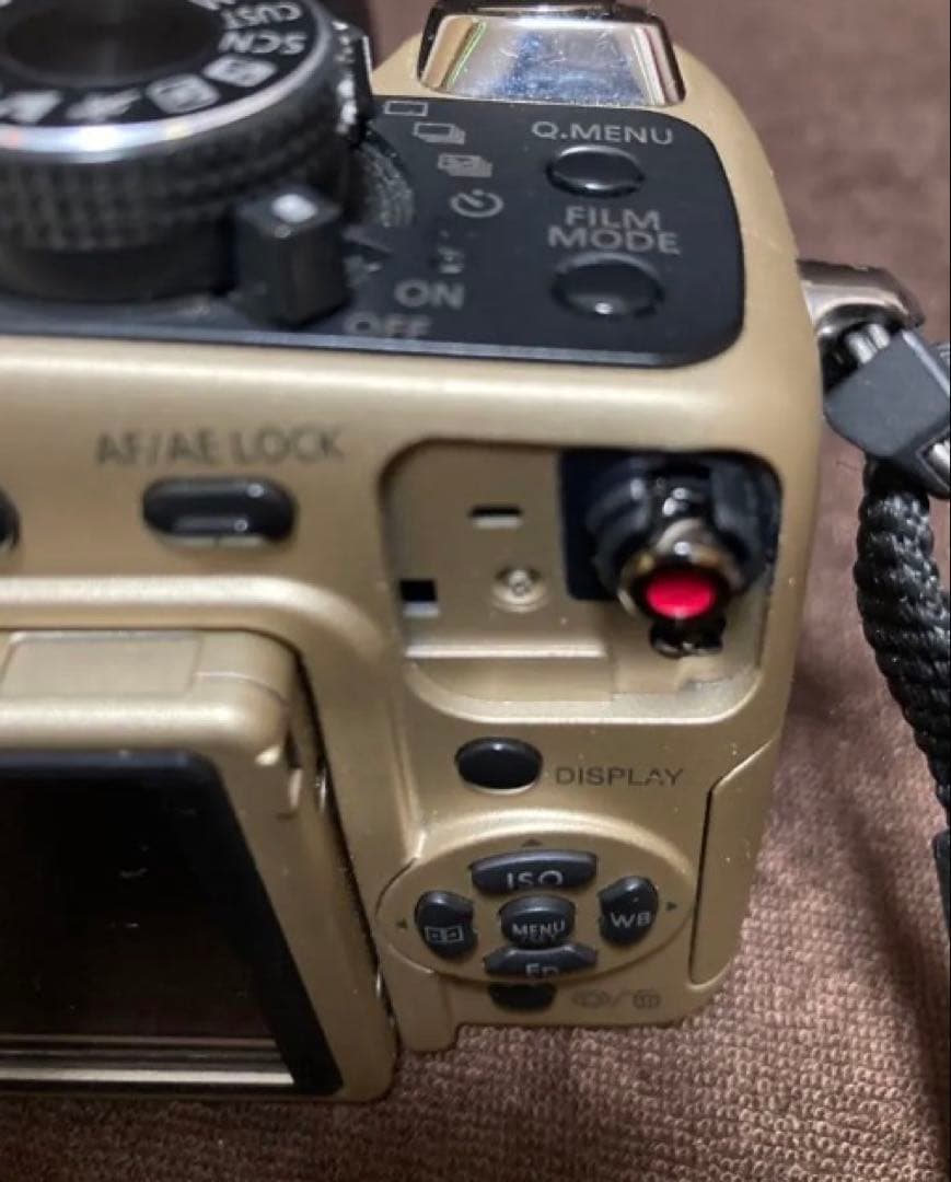 Panasonic Mirrorless Interchangeable Lens Cameras Lumix Gh1