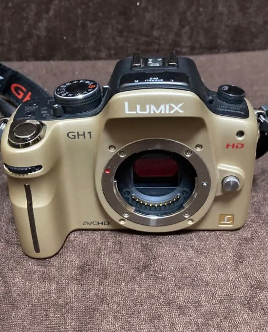 Panasonic Mirrorless Interchangeable Lens Cameras Lumix Gh1
