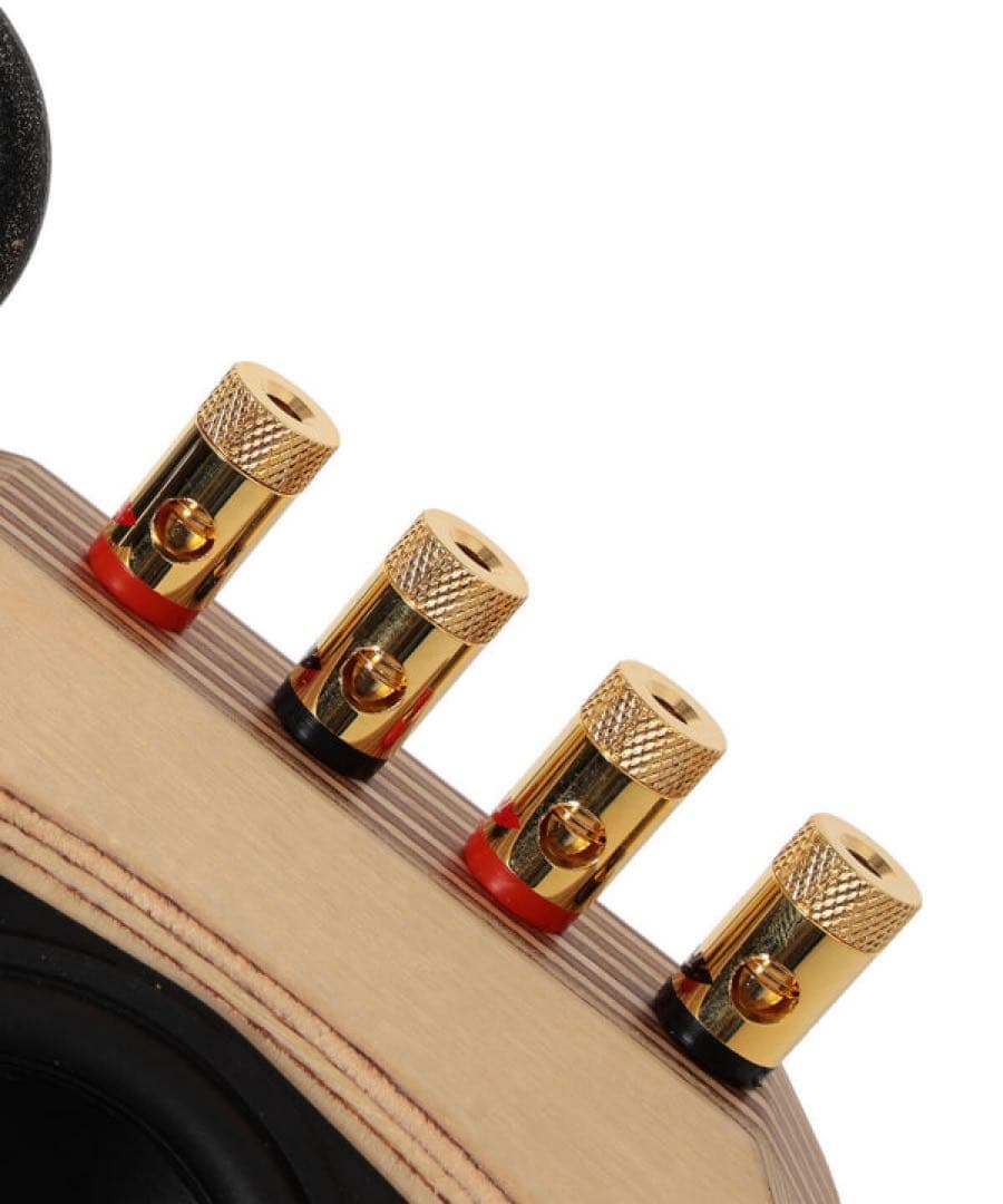Speakers Light