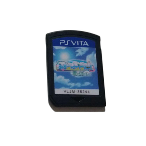 Software (Package Version)
