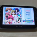 Software (Package Version)