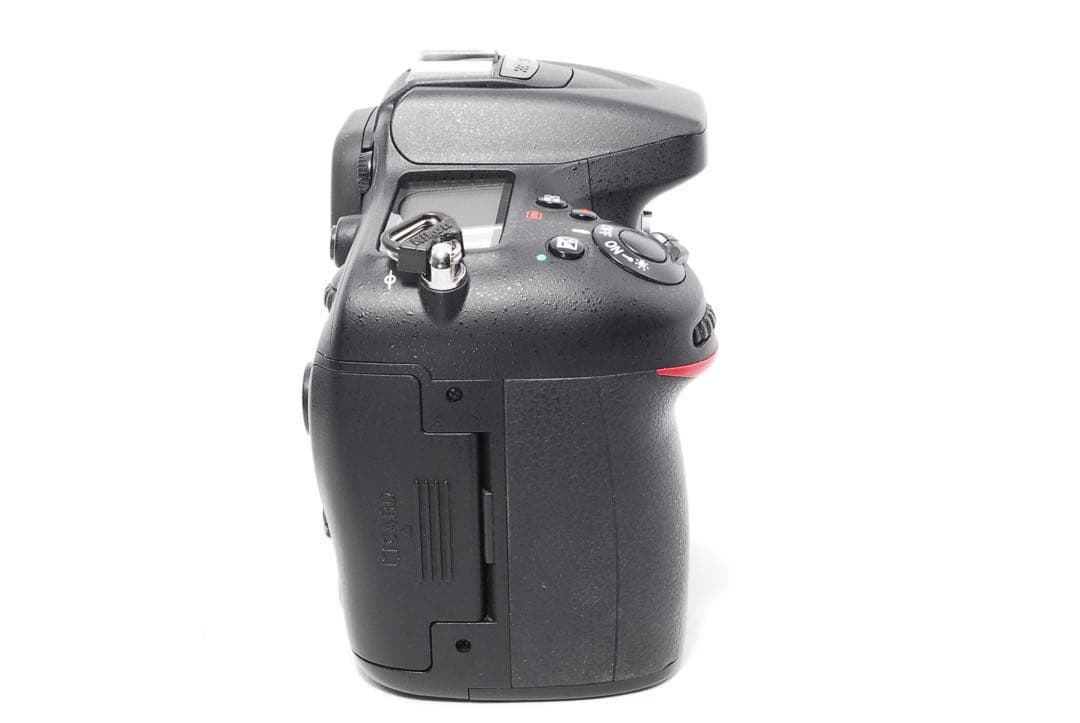 Nikon Digital Slrs D7100