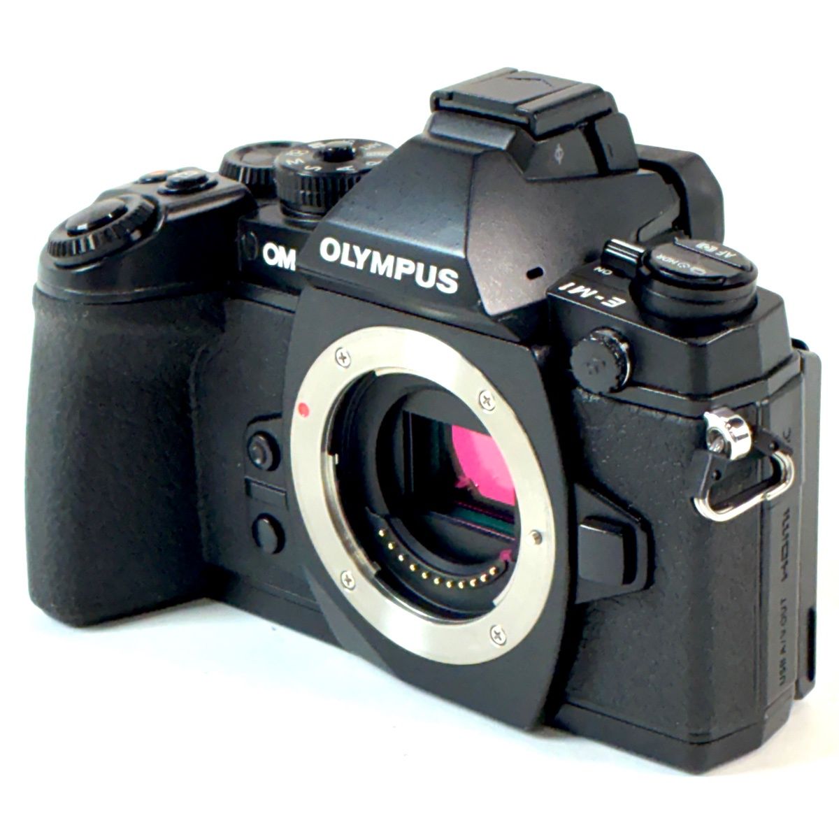 Olympus Mirrorless Interchangeable Lips Om-D E-M1