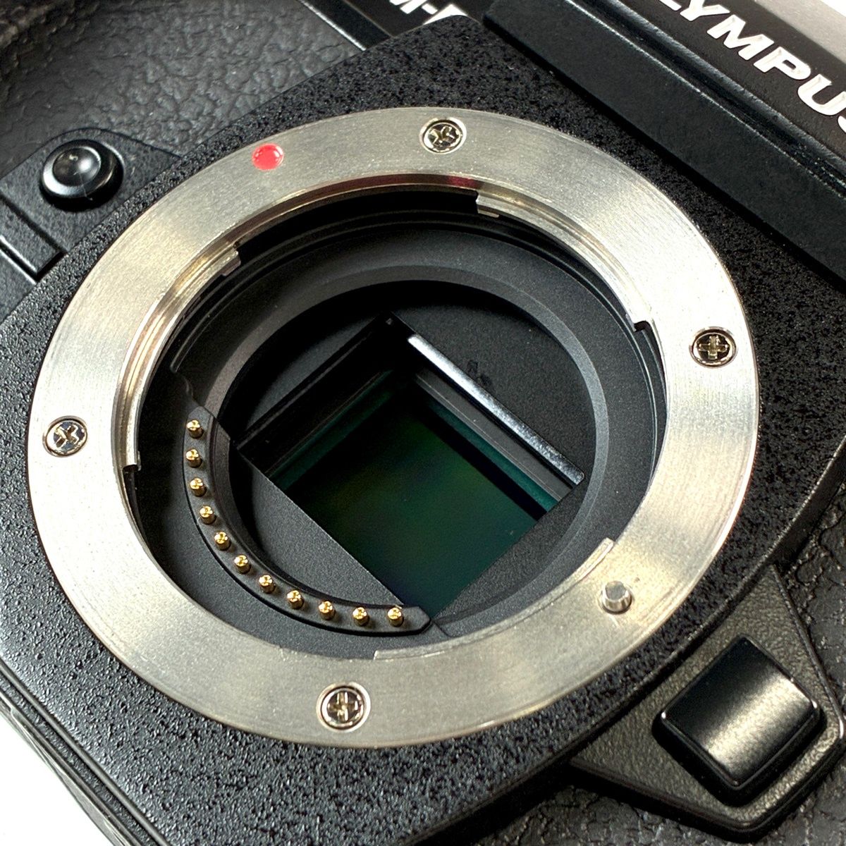 Olympus Mirrorless Interchangeable Lips Om-D E-M1