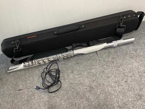 Flutes Roland Aerophone Brisa Ae-Brisa