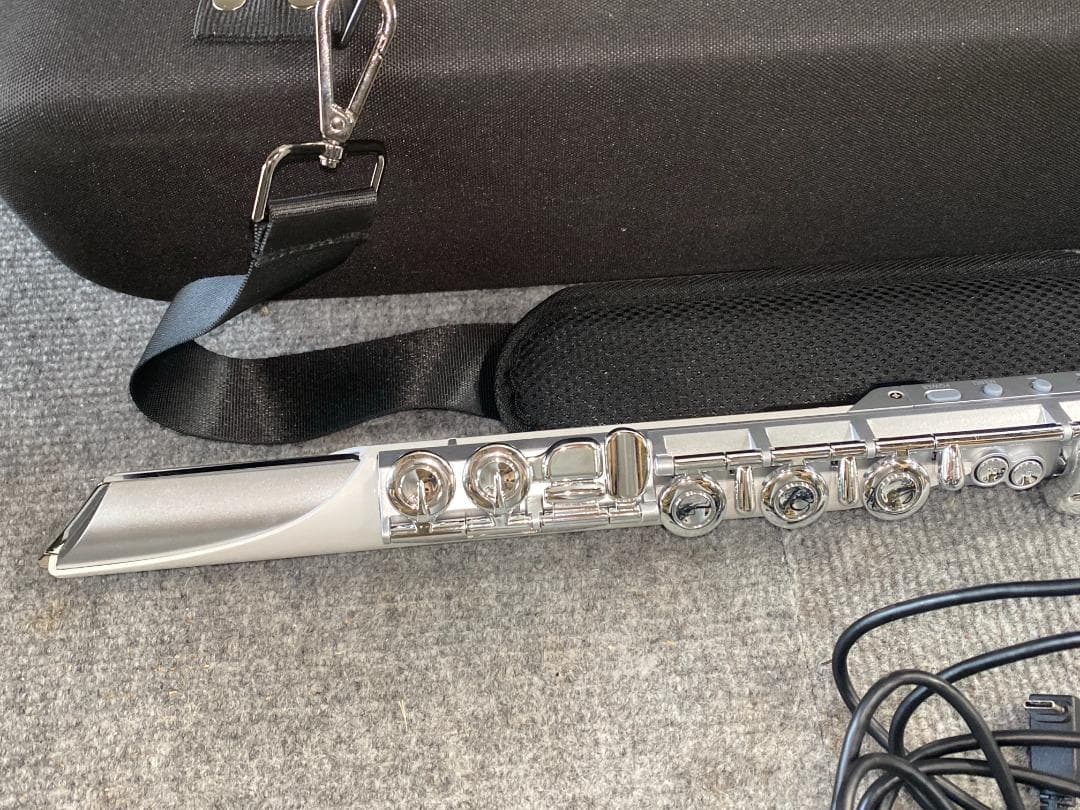 Flutes Roland Aerophone Brisa Ae-Brisa