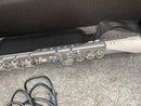 Flutes Roland Aerophone Brisa Ae-Brisa