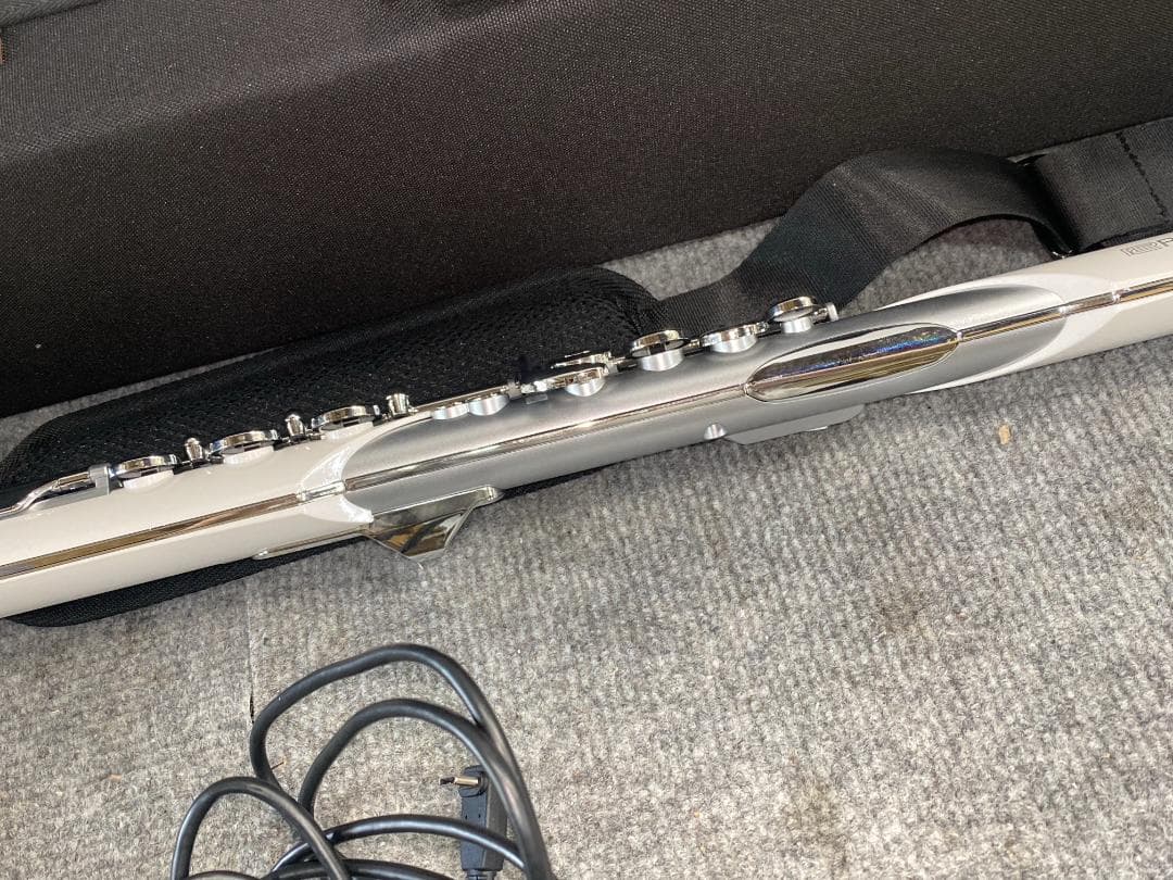 Flutes Roland Aerophone Brisa Ae-Brisa