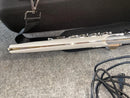 Flutes Roland Aerophone Brisa Ae-Brisa