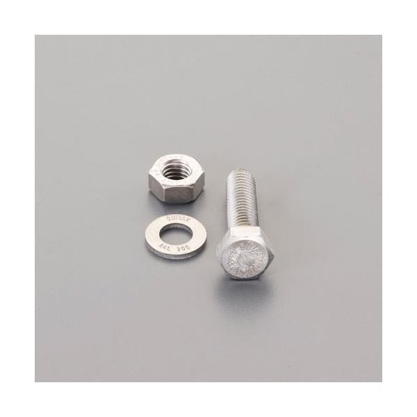 Bolt Ea949Dx-1003 M10X Sus