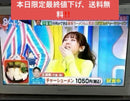 Panasonic Portable Tv