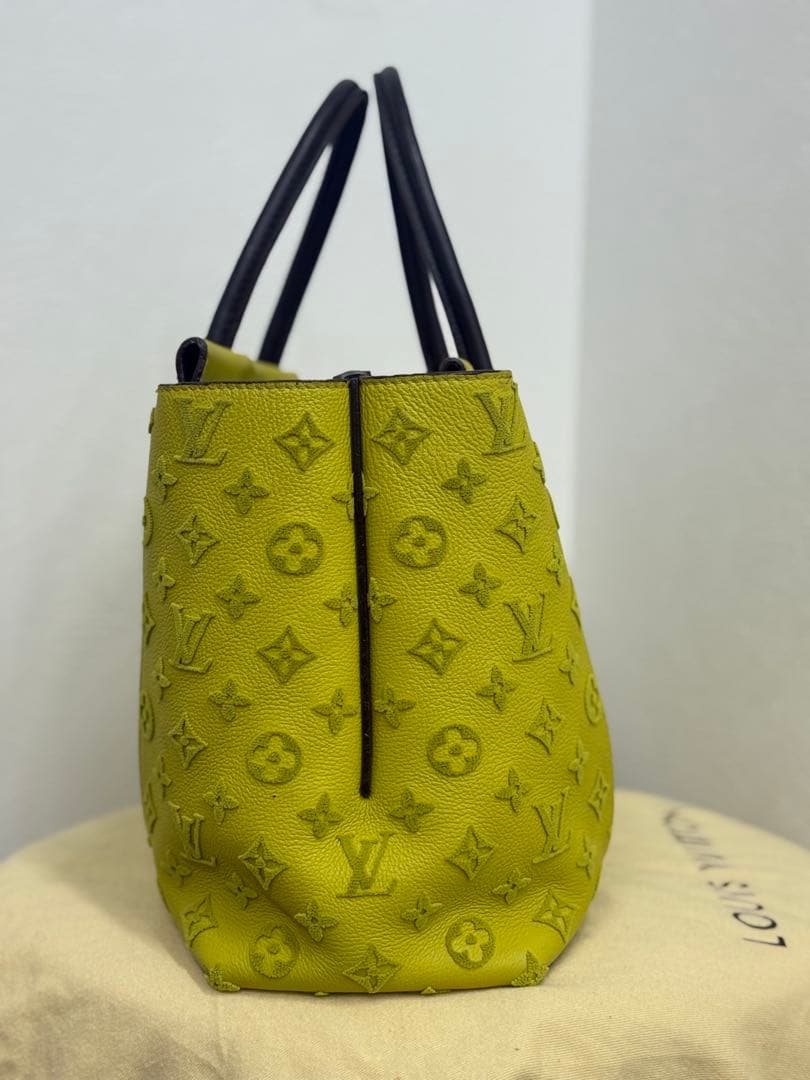 Louis Vuitton Tote Bag 50 W Pm