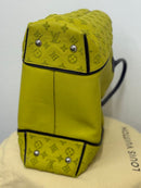 Louis Vuitton Tote Bag 50 W Pm