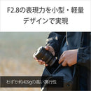 Others Fe 16-25Mm F2.8 G [Sel1625G]