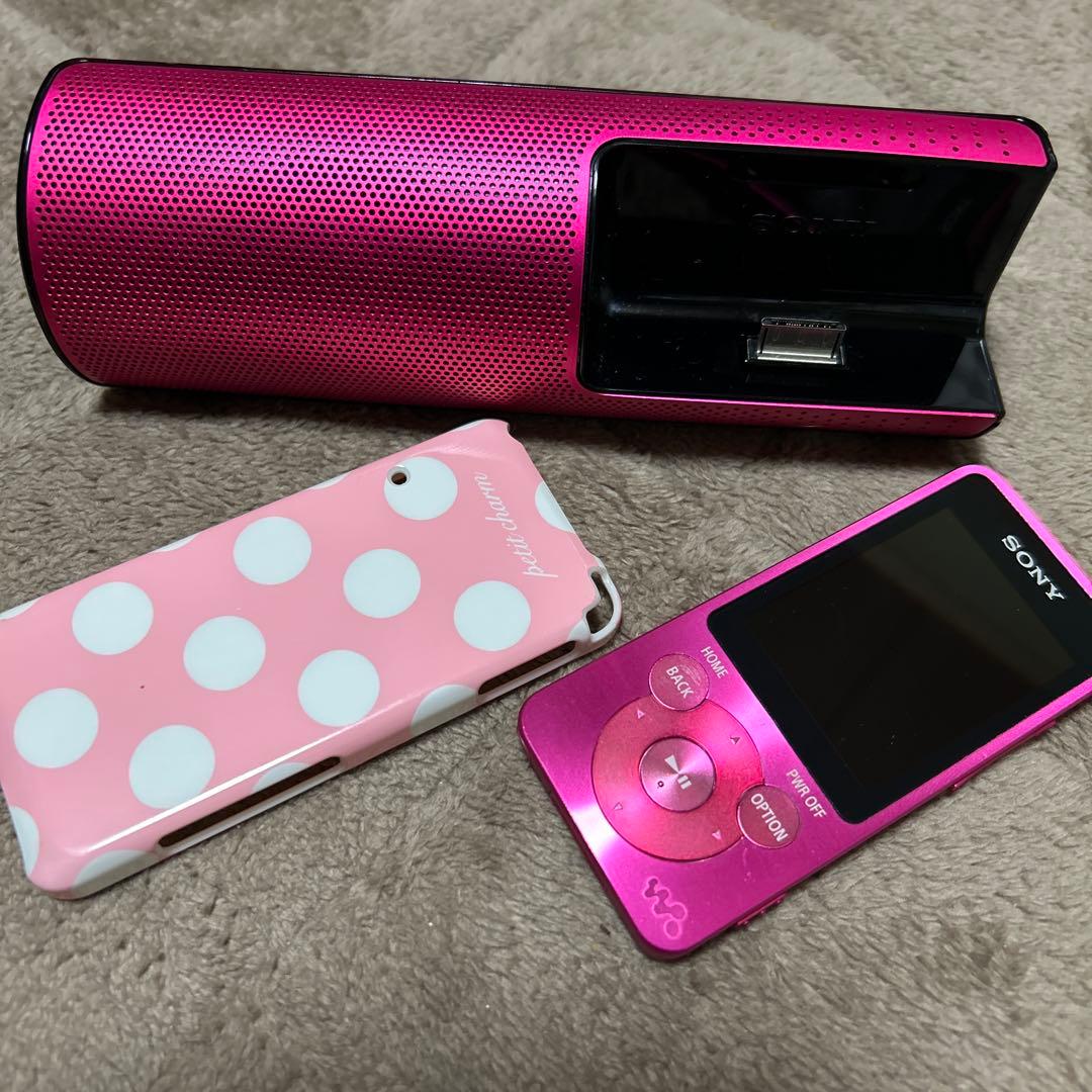 Sony Digital Audio Player