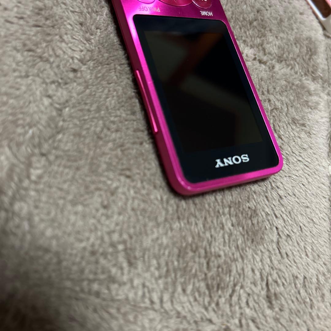 Sony Digital Audio Player