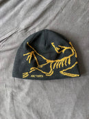 Arc'Teryx Knitted Caps Beanies