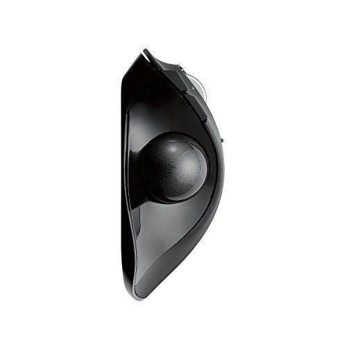 Mouse Body 6 M-Xt3Drbk Lok26K6