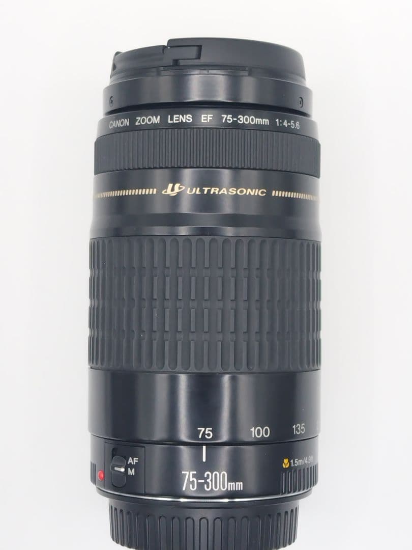Canon Digital Slrs Eos Kiss X7I