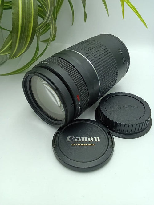 Canon Lens (Zoom) Ef 75-300Mm F/4-5.6 Iii Usm