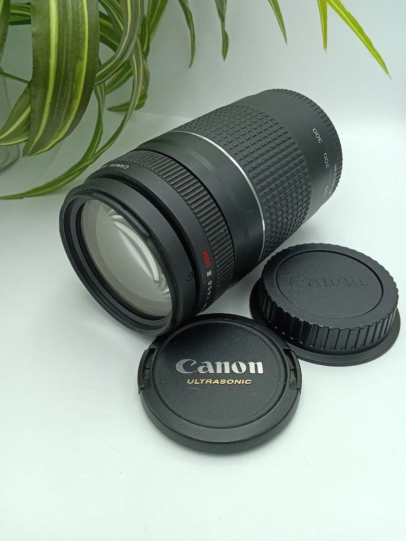 Canon Lens (Zoom) Ef 75-300Mm F/4-5.6 Iii Usm