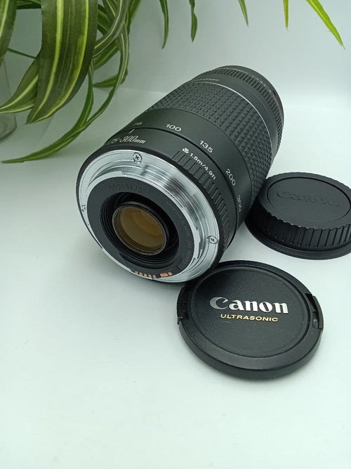 Canon Lens (Zoom) Ef 75-300Mm F/4-5.6 Iii Usm