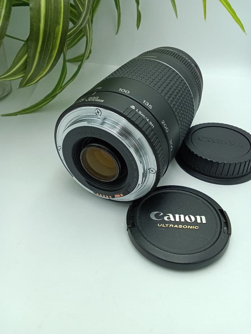 Canon Lens (Zoom) Ef 75-300Mm F/4-5.6 Iii Usm