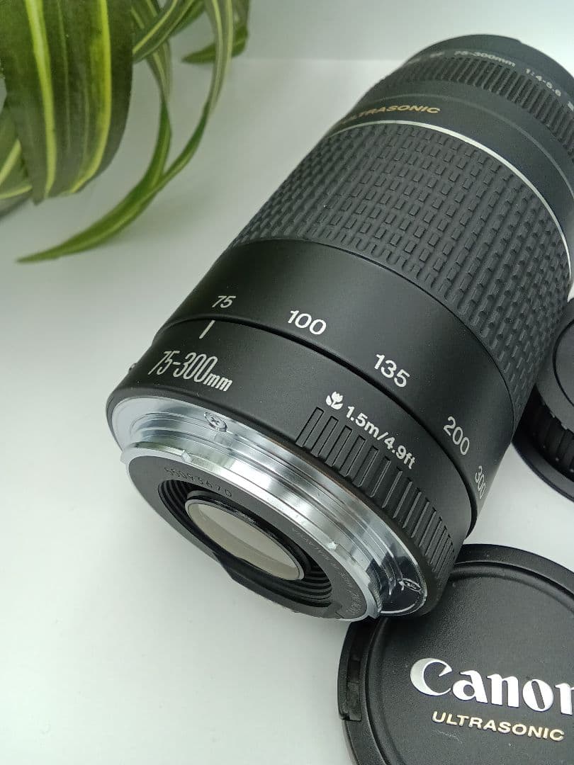 Canon Lens (Zoom) Ef 75-300Mm F/4-5.6 Iii Usm