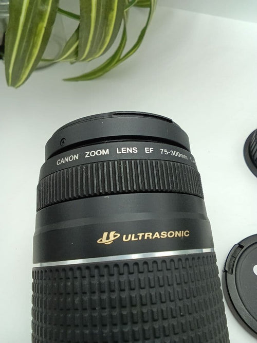 Canon Lens (Zoom) Ef 75-300Mm F/4-5.6 Iii Usm