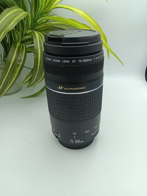 Canon Lens (Zoom) Ef 75-300Mm F/4-5.6 Iii Usm