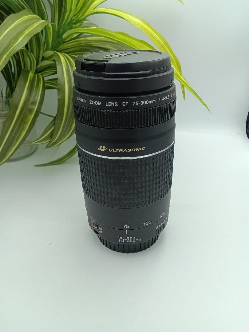 Canon Lens (Zoom) Ef 75-300Mm F/4-5.6 Iii Usm