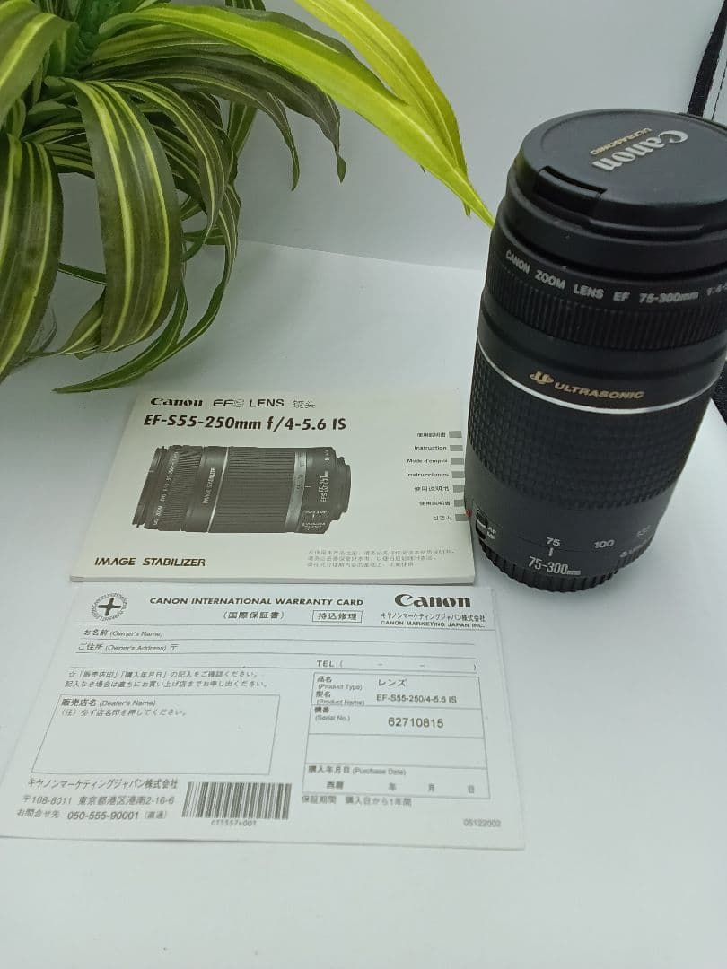 Canon Lens (Zoom) Ef 75-300Mm F/4-5.6 Iii Usm
