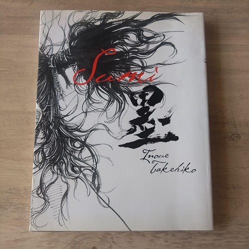 Literature Novel