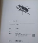 Literature Novel