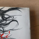 Literature Novel