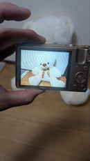 Nikon Compact Digital Cameras Coolpix S7000