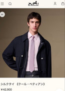 Hermes Ties