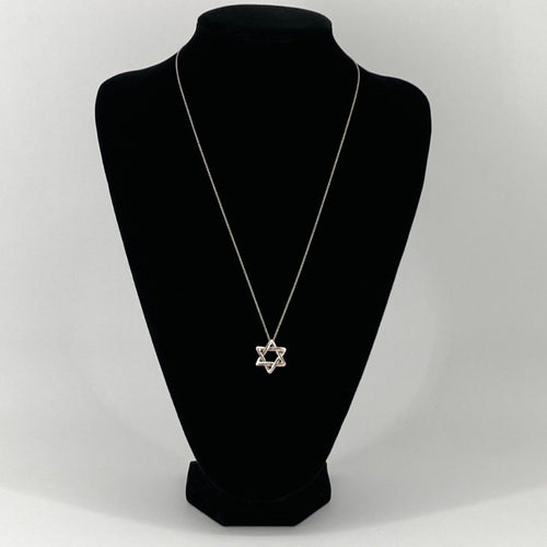 Necklace Tiffany&Co. Ag925 2.85G