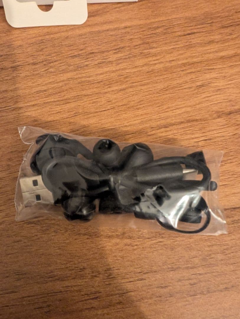 Denon Wireless Earphones Perl Pro