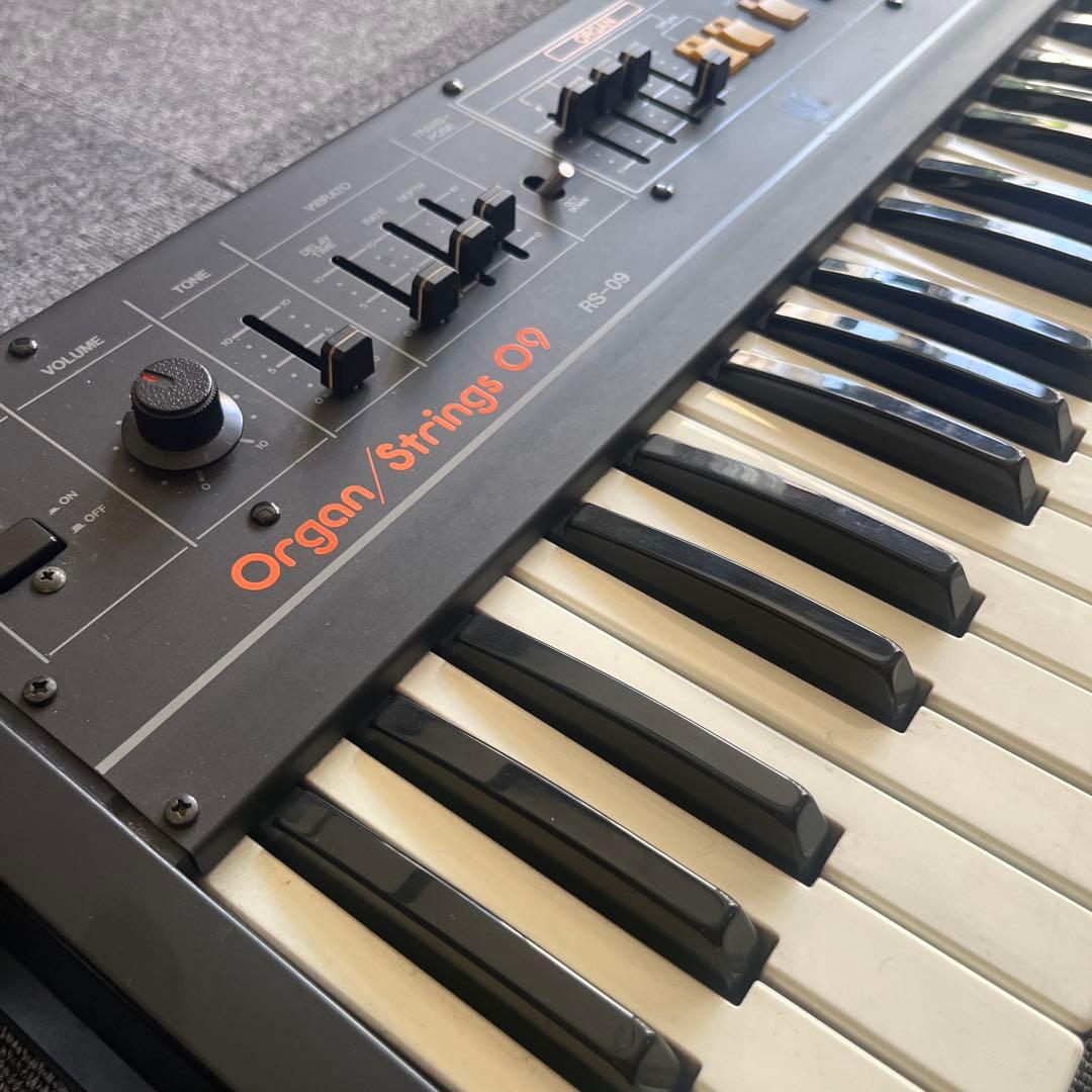Roland Analog Synthesizer Rs-09