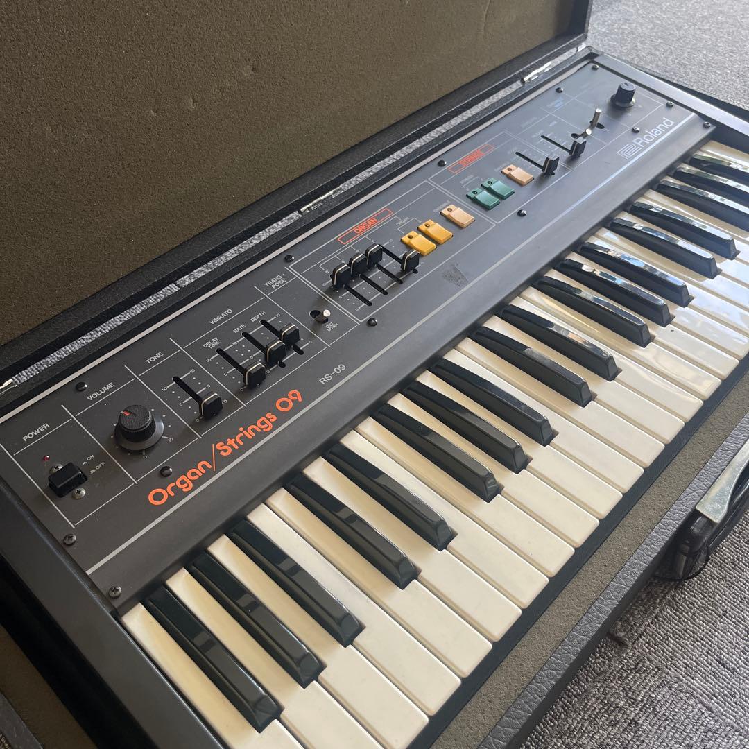 Roland Analog Synthesizer Rs-09